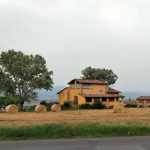 Vigna Del Poggio Anghiari